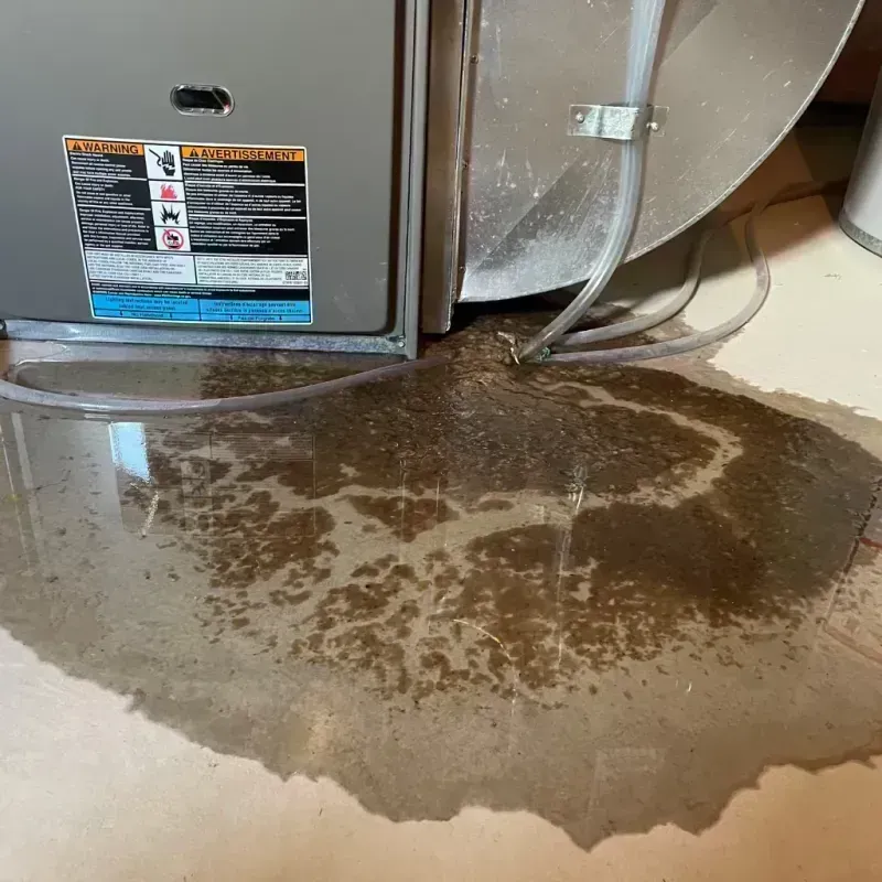 Appliance Leak Cleanup in Leechburg, PA